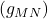 ( g_{MN} )