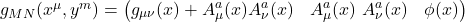  g_{MN}(x^\mu, y^m) = \begin{pmatrix} g_{\mu\nu}(x) + A_{\mu}^a(x) A_{\nu}^a(x) & A_{\mu}^a(x) \ A_{\nu}^a(x) & \phi(x) \end{pmatrix} 